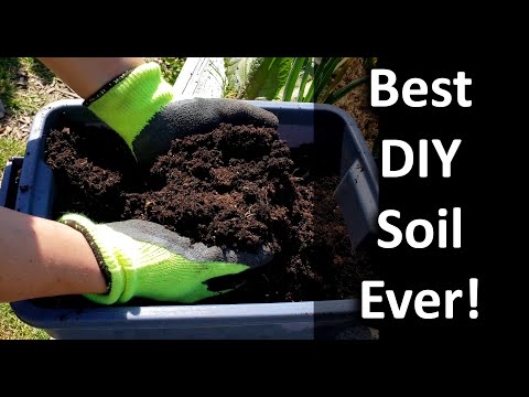 How To Reuse Old Potting Soil FOUR ways