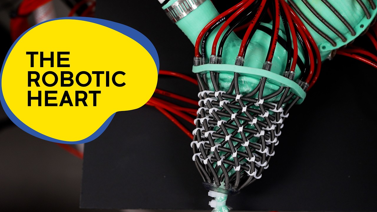 The soft robotic heart that could be the perfect medical testing ground - YouTube