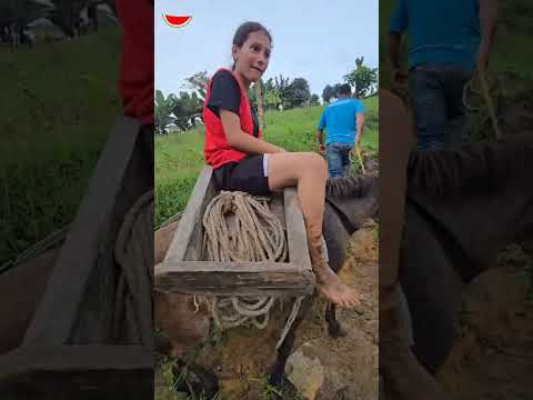 Piden apoyo urgente a la gobernación de Táchira: Continúa emergencia en Mata de Guineo