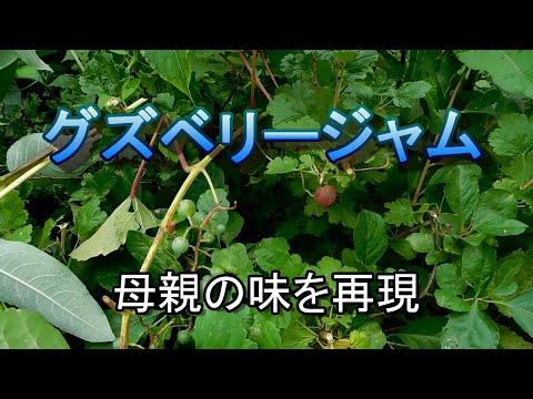 グーズベリーの保存: ヒントとレシピ 植物
