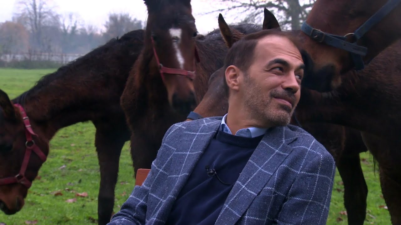 Optimum Stud (Point Of Finally) 20 Aralık 2025