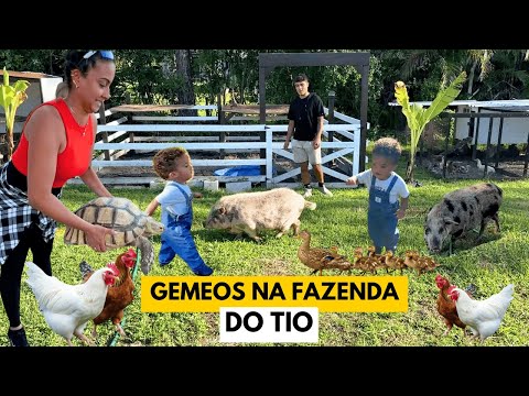 SOFREMOS COM OS GEMEOS NA FAZENDA DO TIO