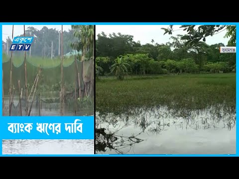 বন্যায় ফসল ও মাছের ক্ষতি