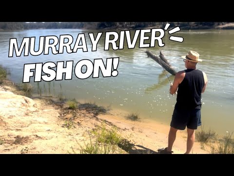 Trying to catch a Cod on the Murray River at lock 9