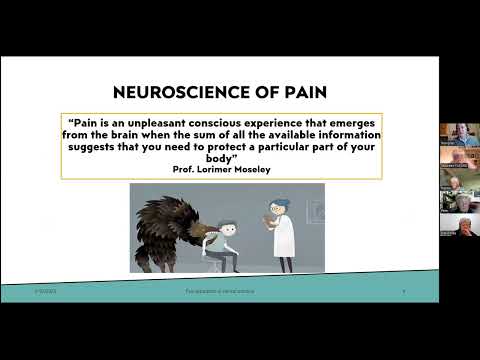 The role of Patient Education in Recovery from Persistent Pain - a Neuroscience Perspective