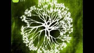 Andy Hunter - Alive