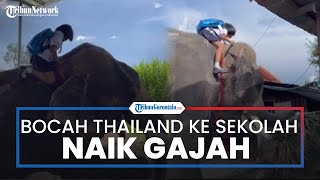 Viral Kisah Bocah Perempuan Thailand Bersahabat dengan Gajah, Bermain Bersama hingga Antar Sekolah