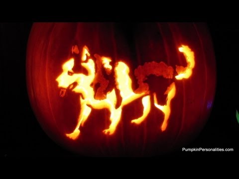 download lagu mp3 mp4 Animal Pumpkin Templates, download lagu Animal Pumpkin Templates gratis, unduh video klip Animal Pumpkin Templates
