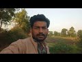 Mari Vadi Na Marasa Gujarat Village