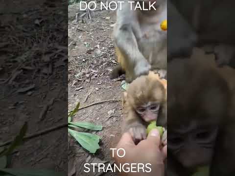 DO NOT TALK TO STRANGERS