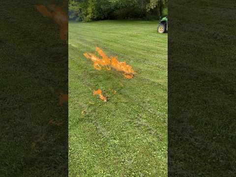 Blowing up and in-ground wasp nest with GAS