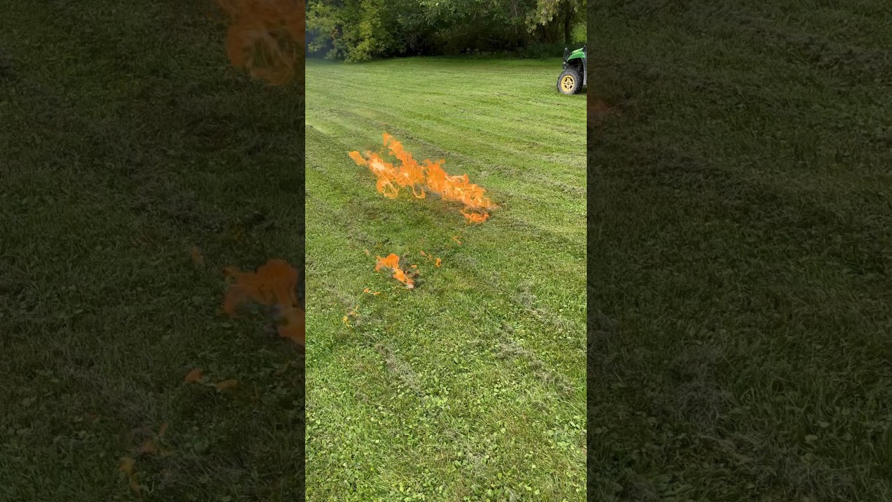 Blowing up and in-ground wasp nest with GAS