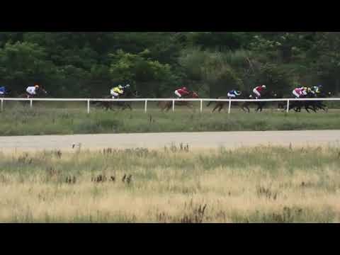 Trka "Naughty Jack" 21.06.2020 PORTORIKO - Milan Konkolj