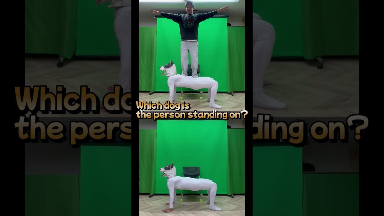 『Which dog is the person standing on?』#dog #funny