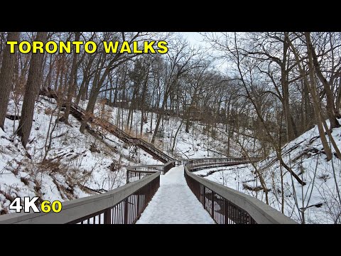 Toronto Glen Stewart Ravine to Lake Ontario Walk (Beaches) on Feb 23, 2021