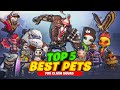 DON T USE THESE PETS BEFORE WATCHING THIS VIDEO