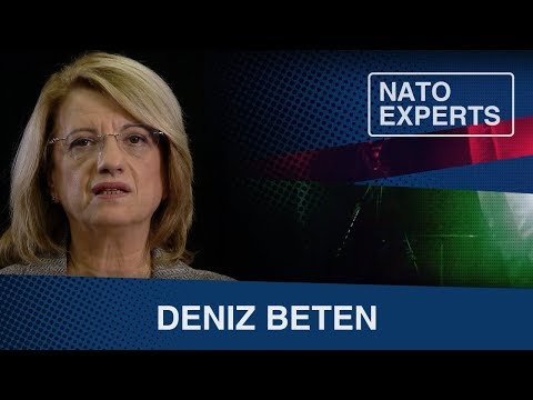 NATO Experts | How does NATO improve the quality of human life?