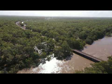 Fitzroy River Floods 2023: January 14th Willare Bridge