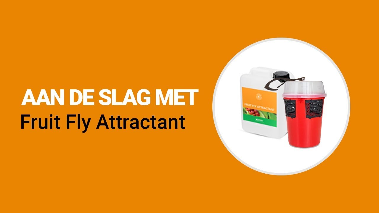 Video preview poster