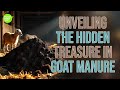 My 30 Day Experiment With Goat Manure Changed My Life