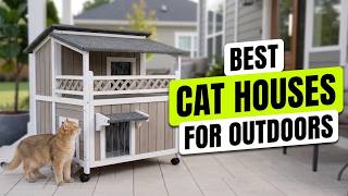3 BEST Outdoor Cat House 2026