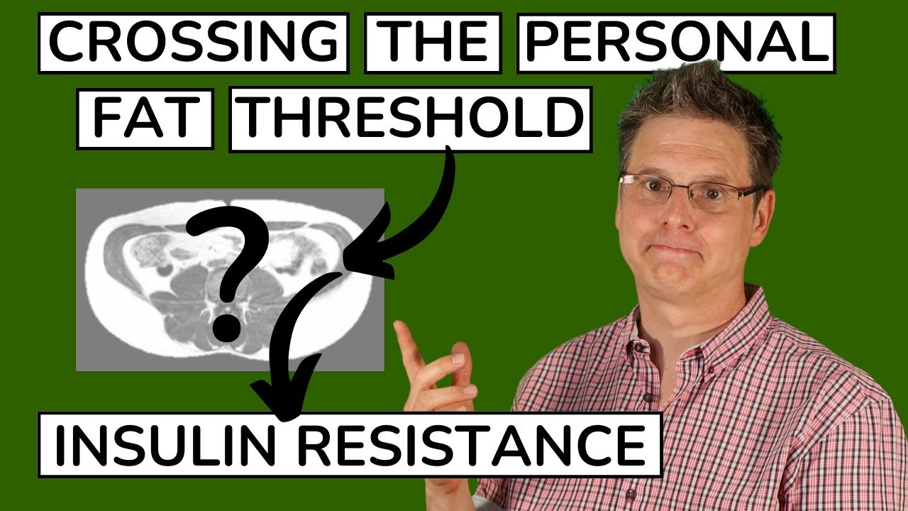 Causes of Insulin Resistance: The Personal Fat Threshold