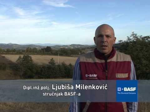 BASF Goldor Bajt za B92