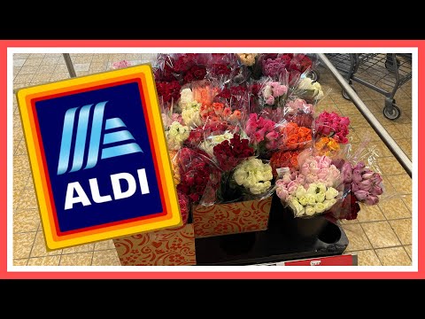 👕 My favorite ALDI Find EVER is back!  Weekly ALDI Grocery Haul and Meal Plan