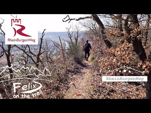 RheinBurgenWeg 6: 32km from Koblenz via the Moselsteig and Bassenheim to Miesenheim