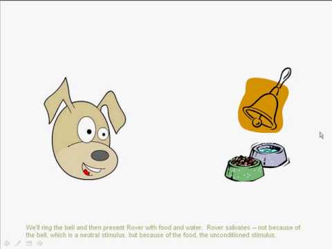 古典的なコンディショニング [cc] (Classical Conditioning [cc])