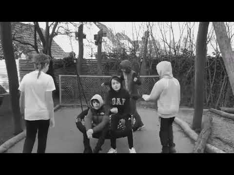 24 høns H.C Andersen rap