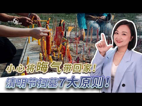 適合掃墓的日子