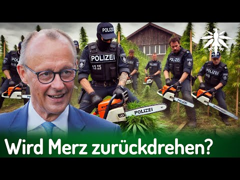 Unter Kanzler Merz: Wird CanG zurückgedreht? | DHV-News # 458
