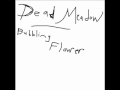 Dead Meadow - Bubbling Flower mix