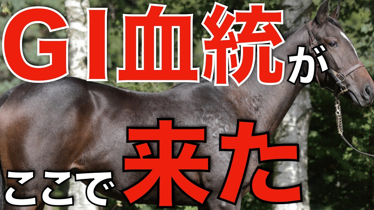 あの名牝の初仔がここで来た！キャロットの追加募集もG1血統揃う。