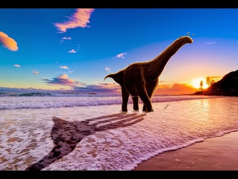 Зби  Zby atlanticus