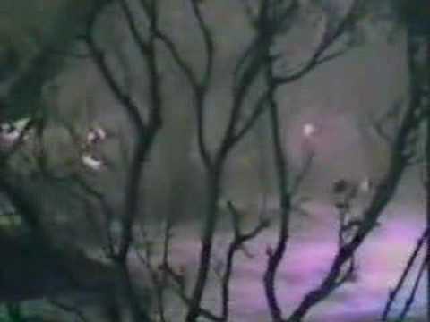 Walter Egan -Fool Moon Fire