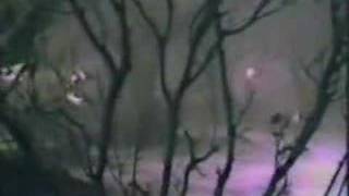 Walter Egan -Fool Moon Fire