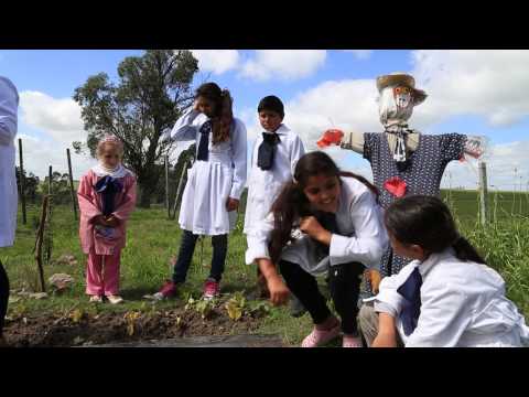 Estéfany Vázquez | Niña Cero Falta 2014