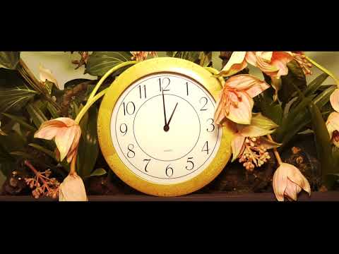 Helemaal het einde: Documentaire studenten Fontys voor De Wever