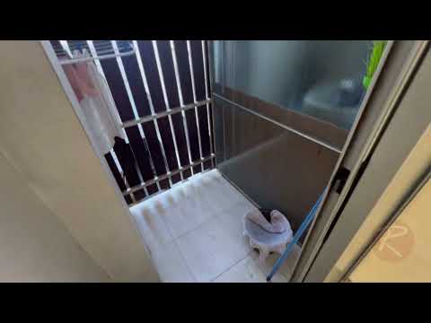 Video de YouTube - Apartamento en Alquiler de 1 dormitorio  en Palermo, Montevideo