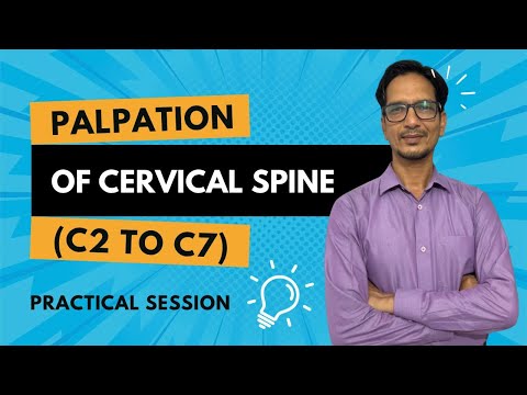 Palpation of Cervical Spine from C2 to C7 | Practical Guide for Students