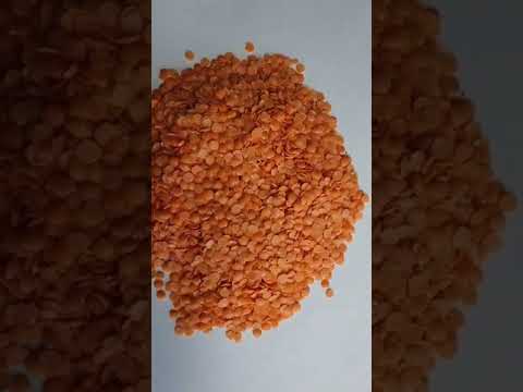 Split Masoor Dal / Red Lentil
