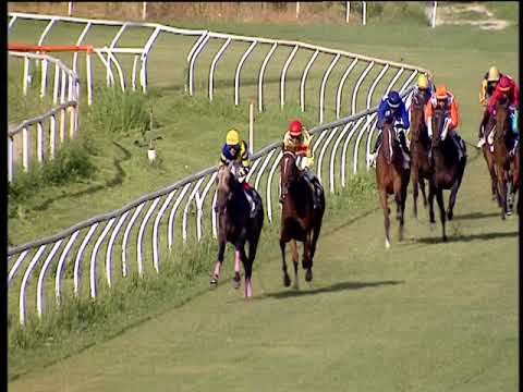 Galoppo 08/06/2018 - 4ª corsa