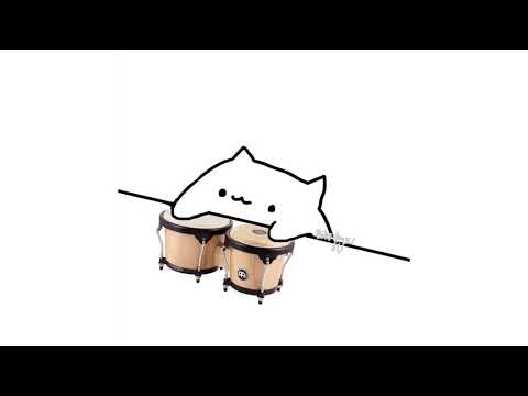 bongo cat want to drop it