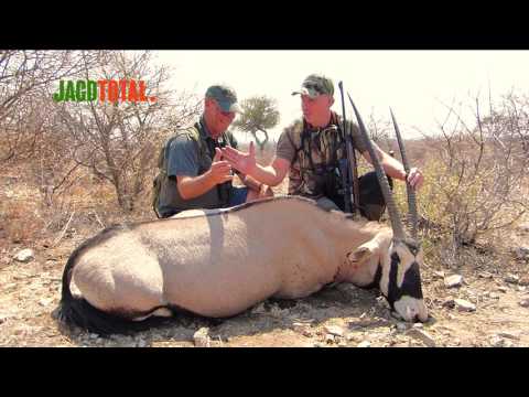 Erfolgreiche Jagd auf Oryx - JAGD TOTAL