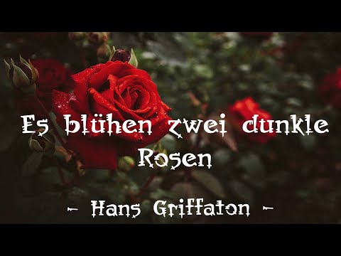 Es blühen zwei dunkle Rosen - Hans Griffaton