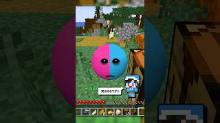 ちろぴのが嫌いなTperity #マイクラ #マインクラフト #minecraft