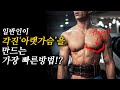 어디서도 배울 수 없는 각진 ‘아랫가슴’ 만드는 운동 방법!? [99%가 이 방법은 모릅니다.]