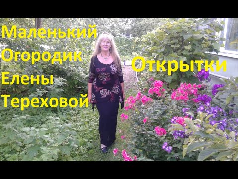 Маленький Огородик Елены Тереховой - Рисование Открыток 14.03.2012